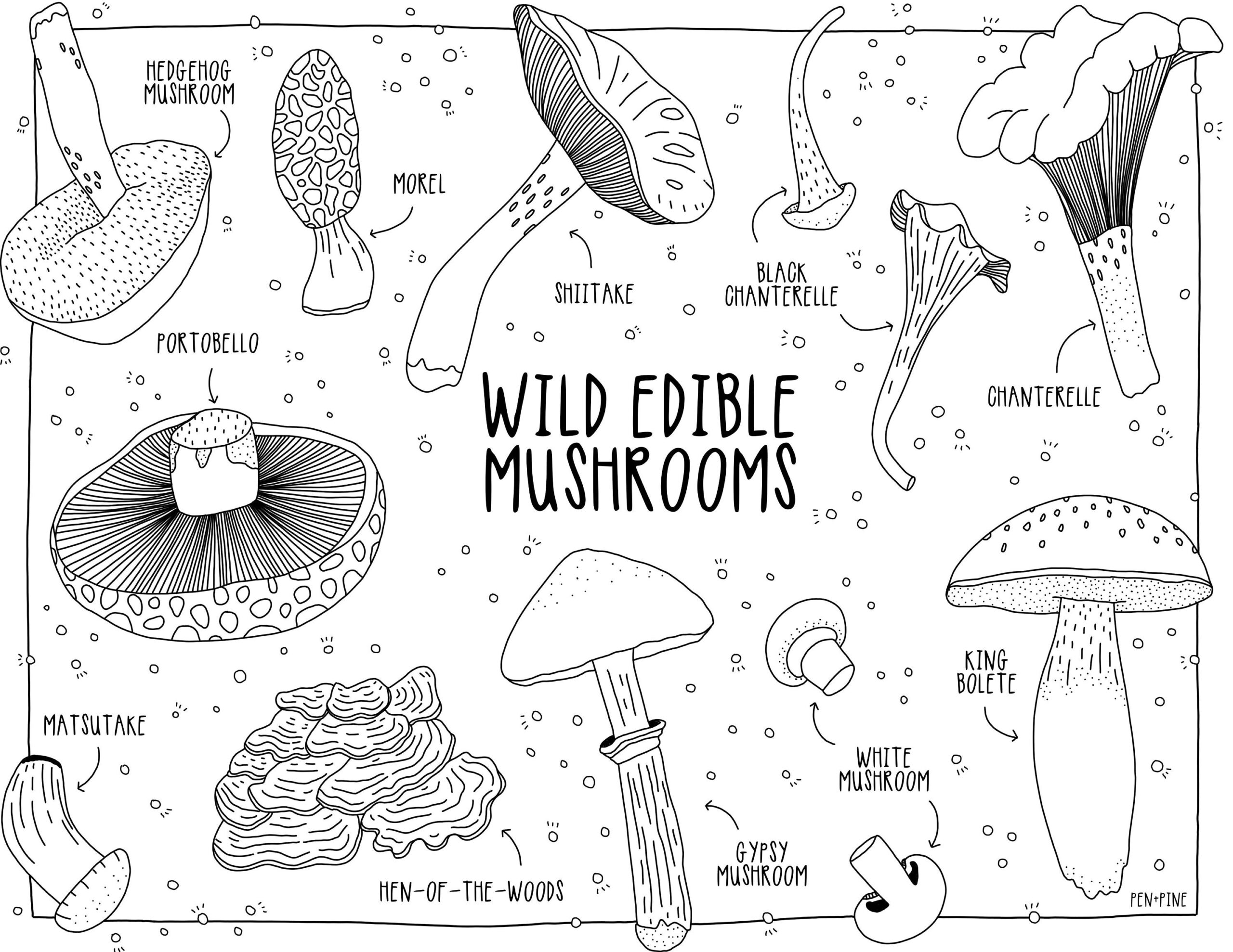 Mushroom Coloring Page Wild Edible Fungi Nature Art PDF Printable Etsy Mushroom Coloring Page Wild Edible Fungi Nature Art PDF Printable Etsy