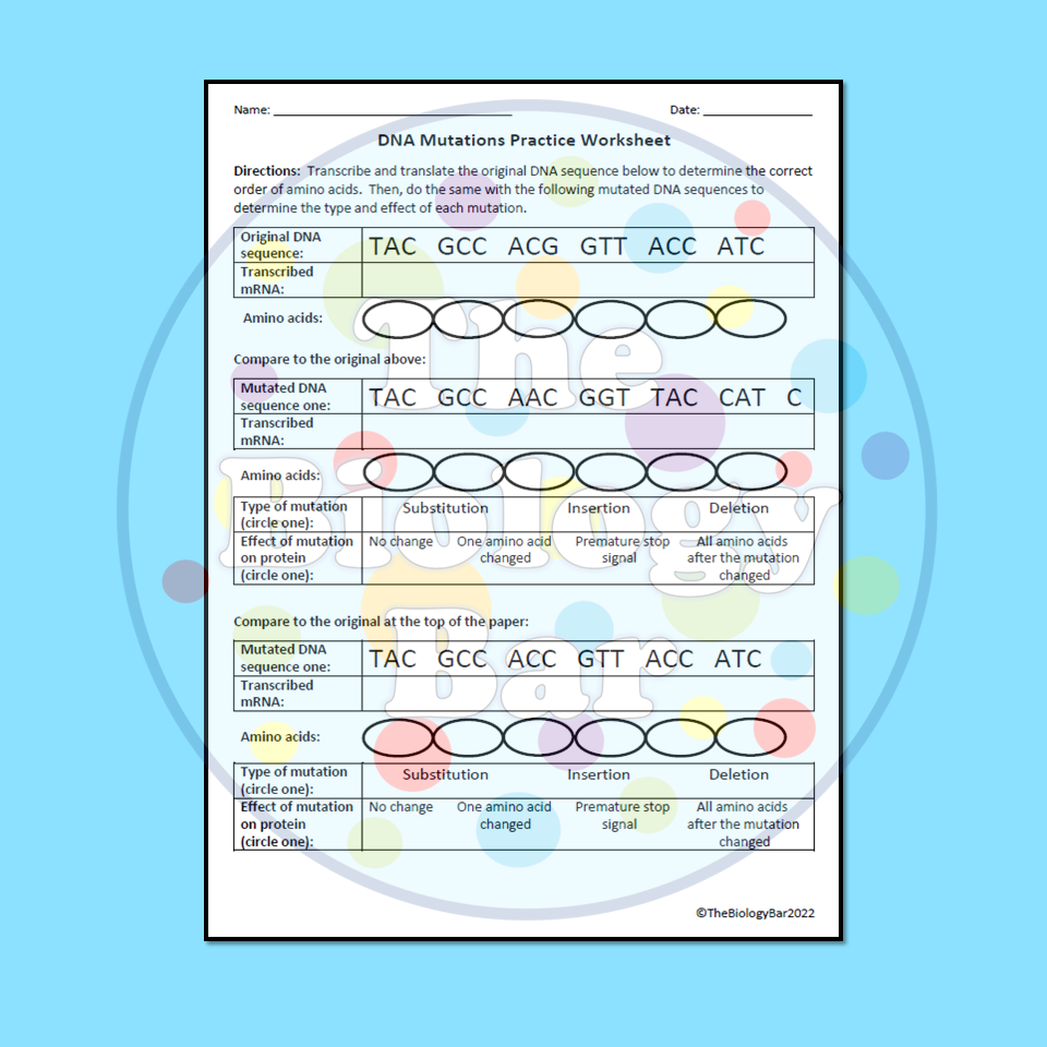 Mutation Practice Worksheet Printable And Digital Made By Teachers