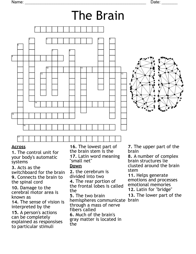 Neuro Crossword Puzzle WordMint