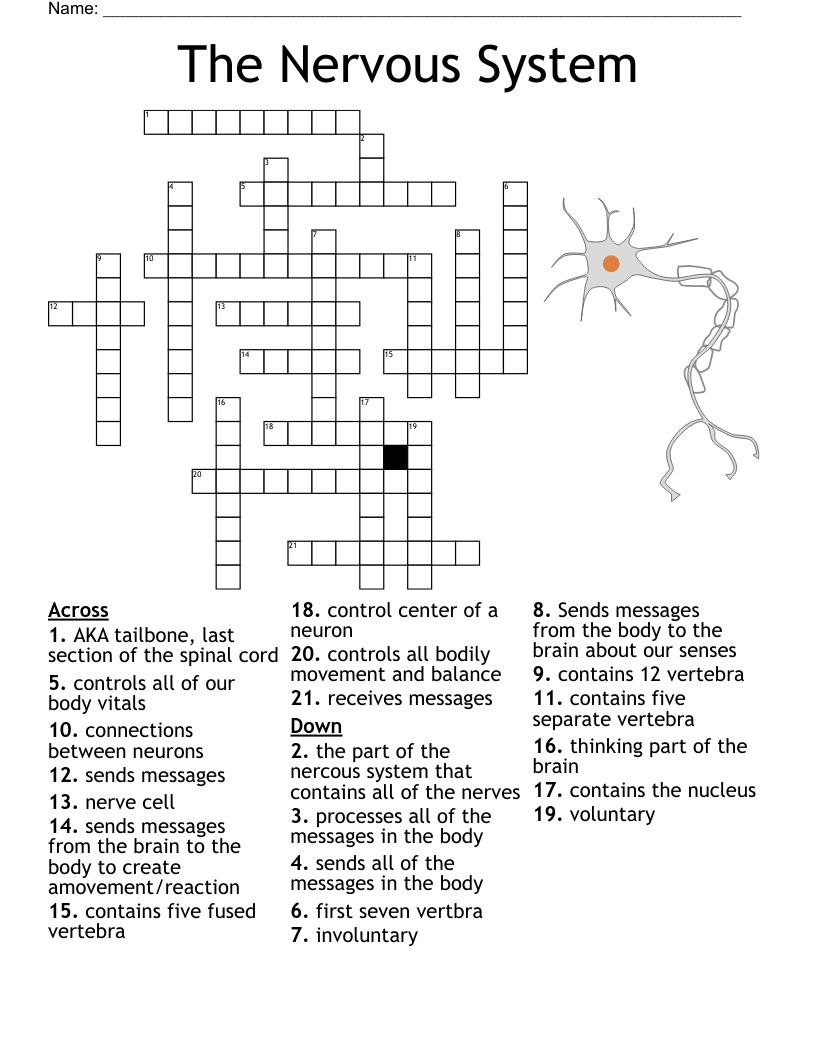 brain activity scan crossword clue