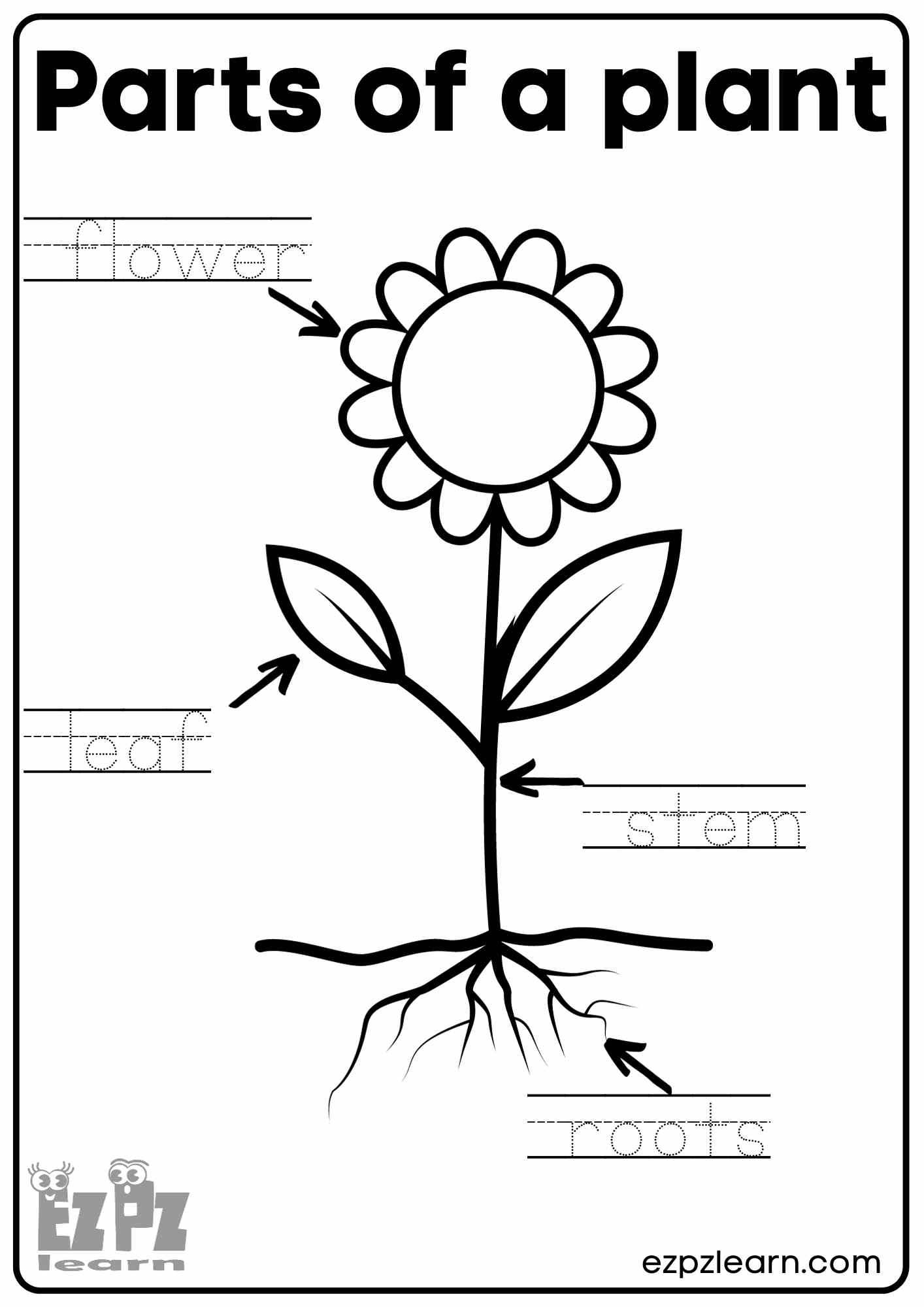 parts of a flower worksheet parts of a flower worksheet