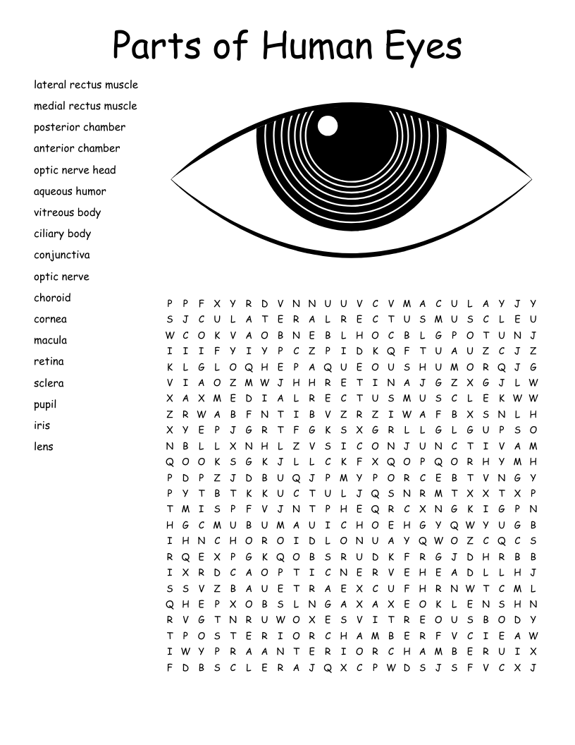 Parts Of The Eye Word Search WordMint Parts Of The Eye Word Search WordMint