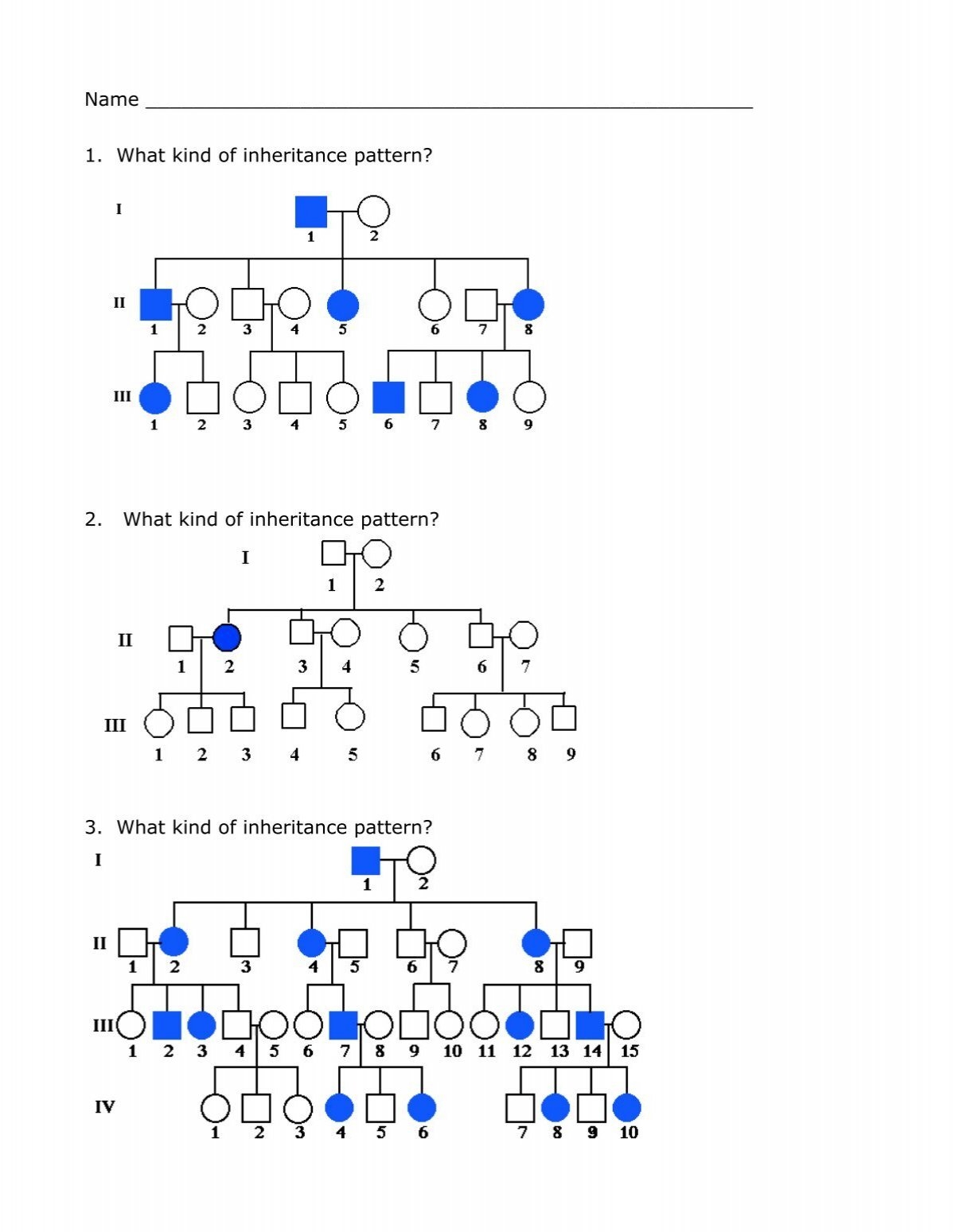 Pedigree Worksheet Answers Pedigree Worksheet Answers