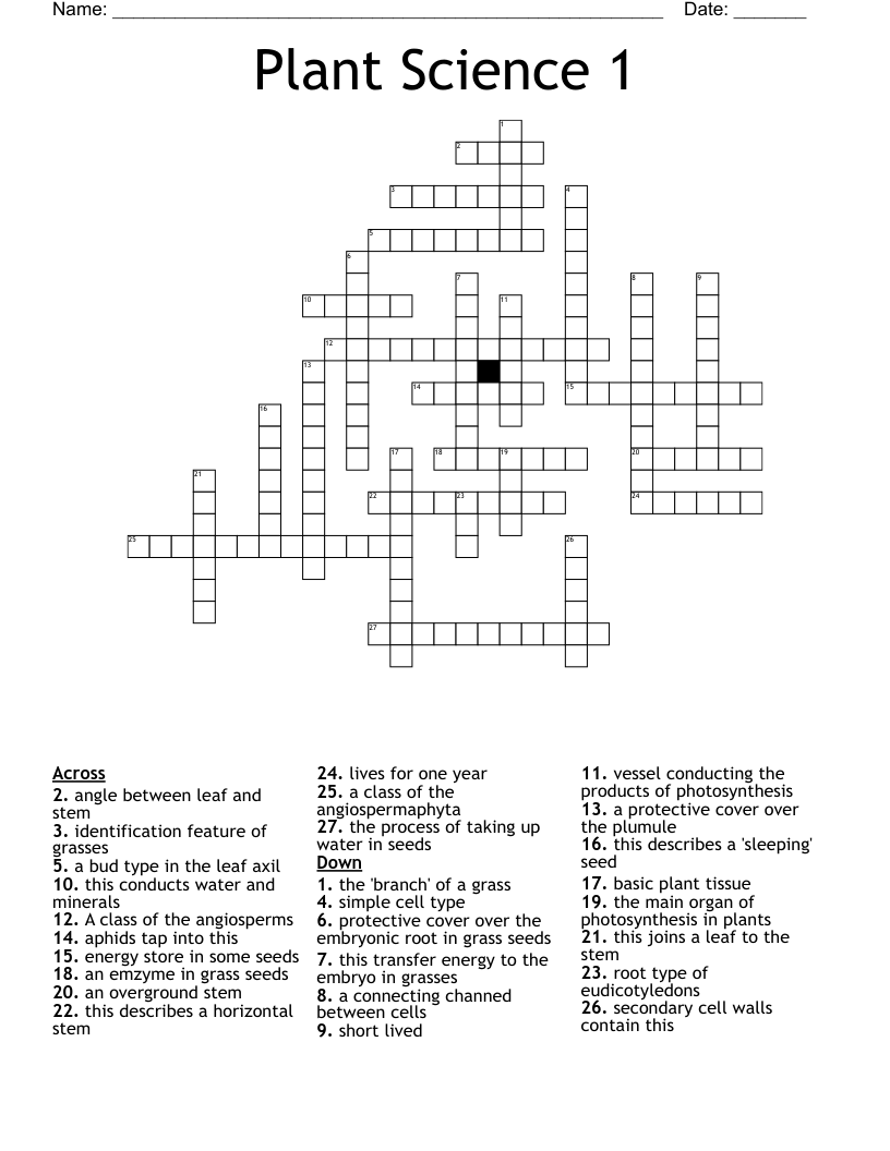 Plant Science 1 Crossword WordMint