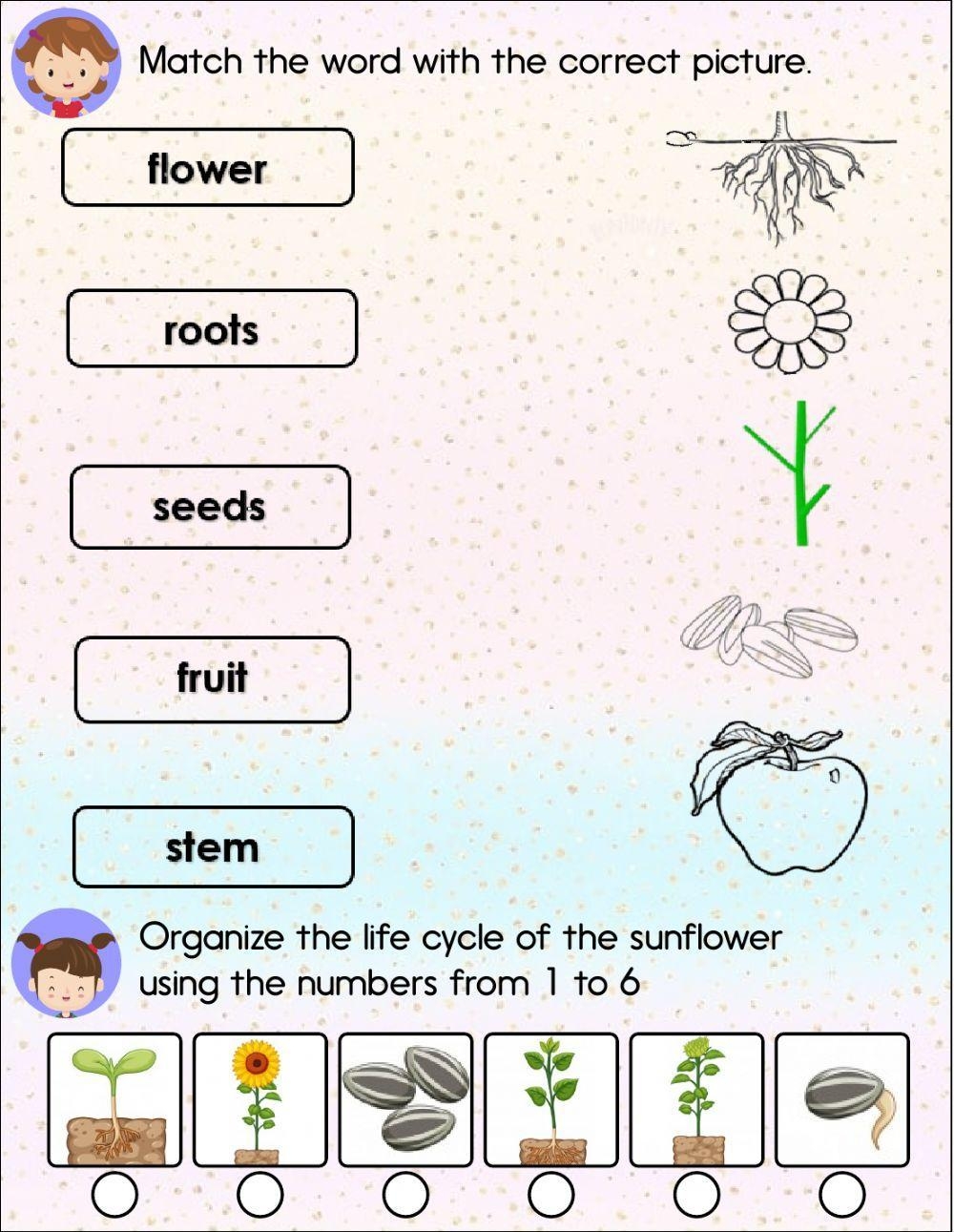 science worksheets for grade 1
