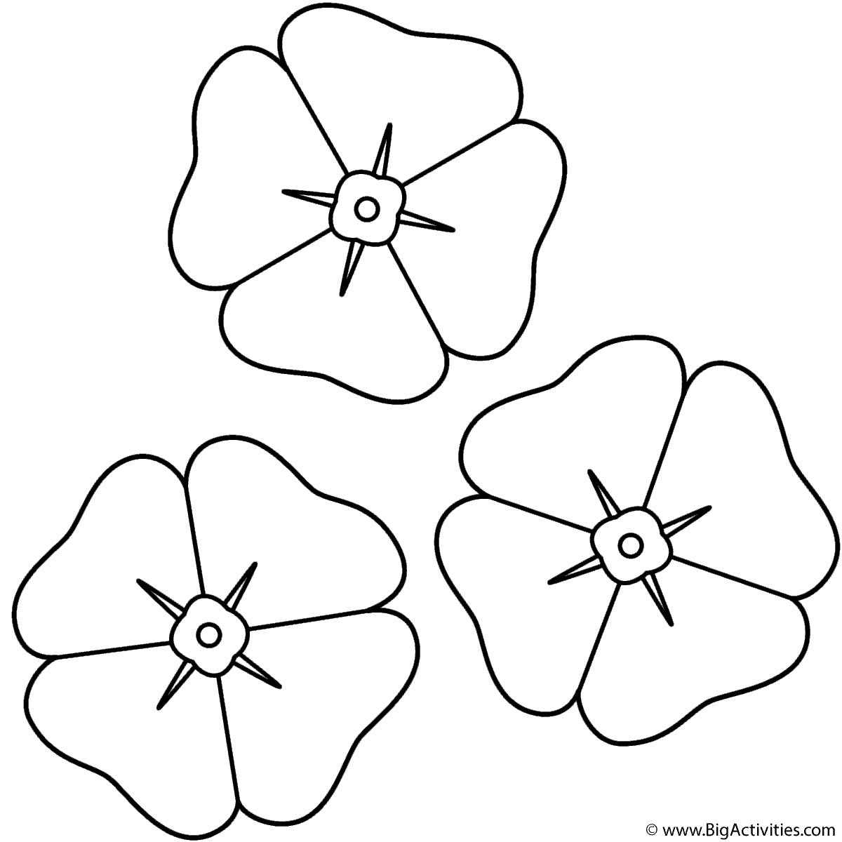 poppy coloring page