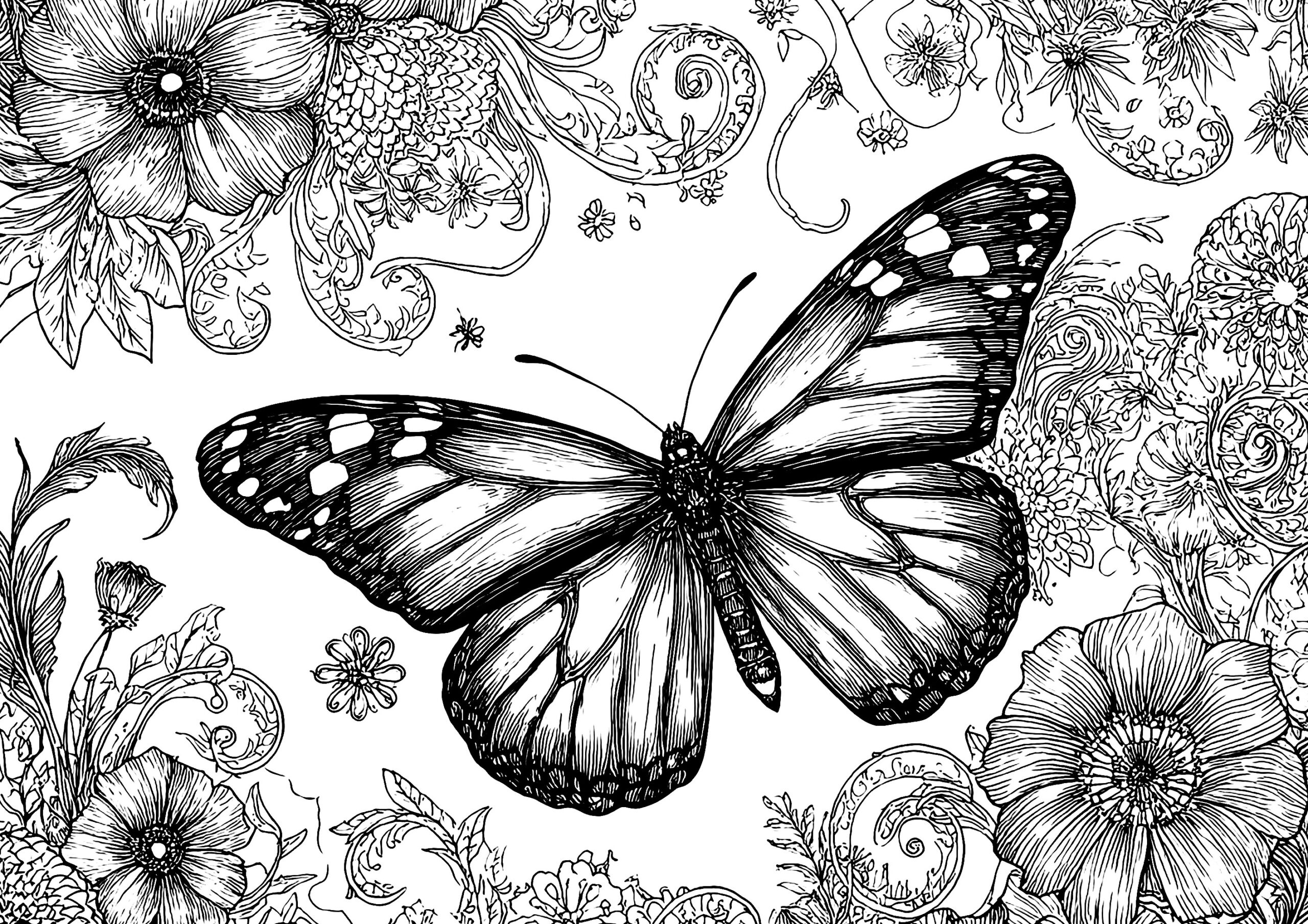 Pretty Butterfly In A Complex Coloring Scheme Butterflies Insects Coloring Pages For Adults