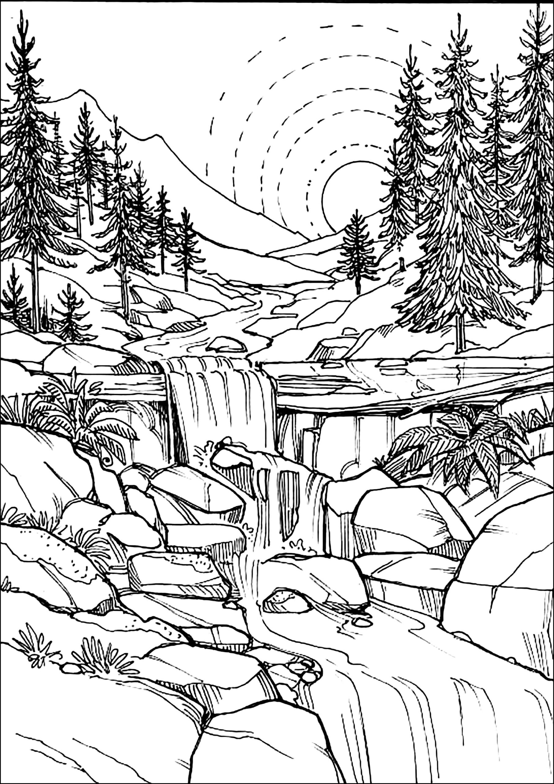 Pretty Waterfall In The Forest Landscape Coloring Pages Pretty Waterfall In The Forest Landscape Coloring Pages