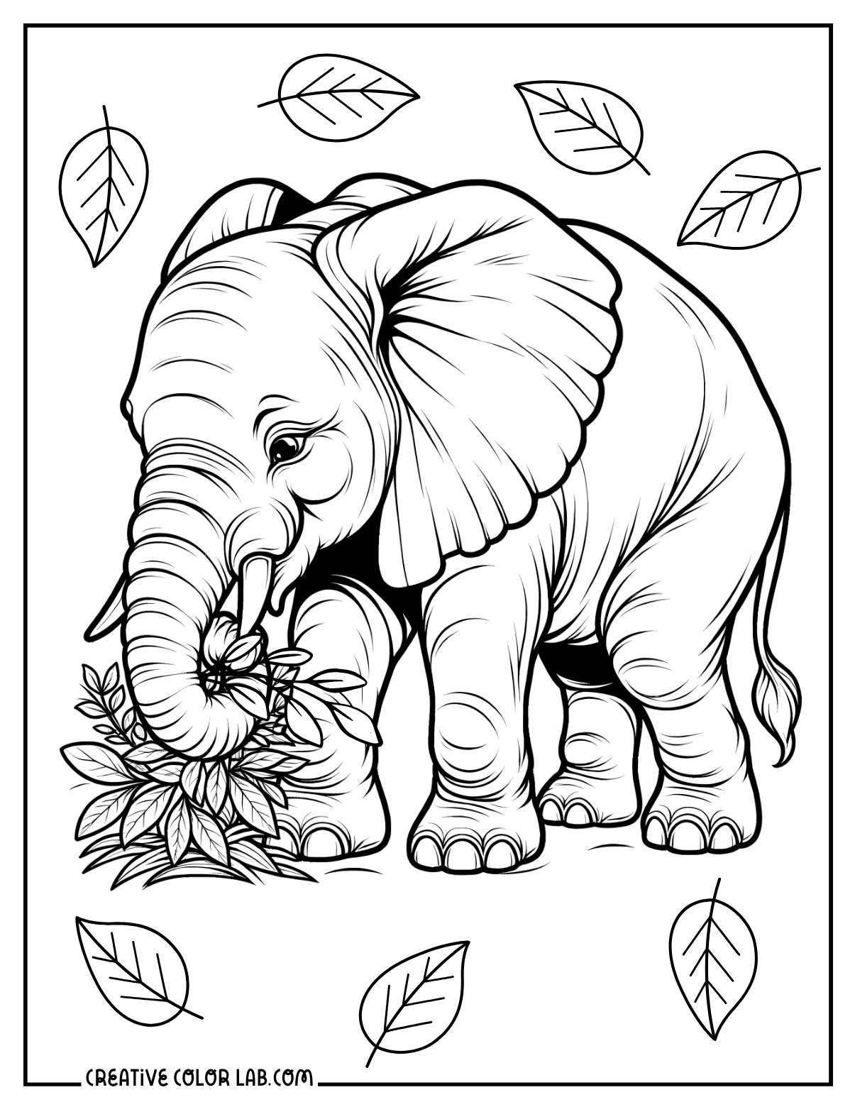 Printable Elephant Coloring Pages Free PDFs To Download Printable Elephant Coloring Pages Free PDFs To Download