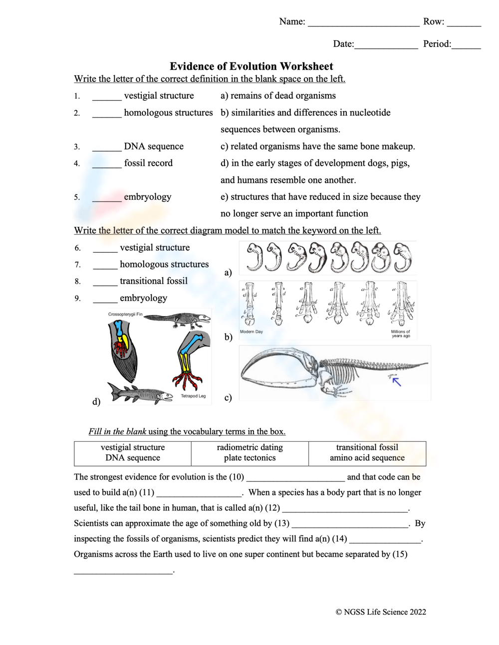 Printable Evidence Of Evolution Worksheets
