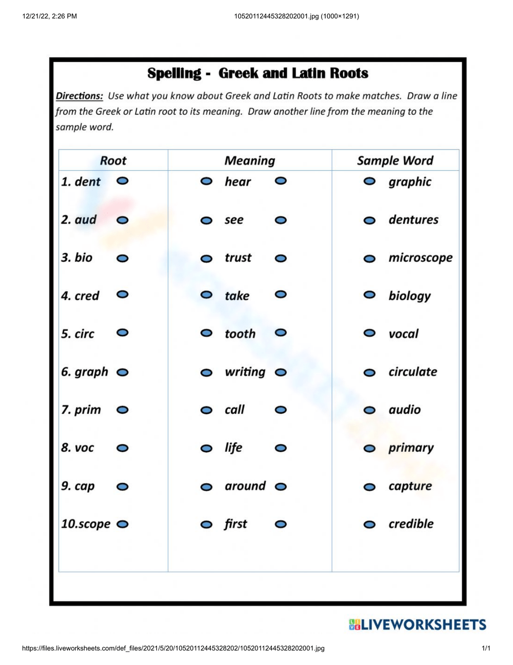 Printable Grade 5 Greek And Latin Roots Worksheets