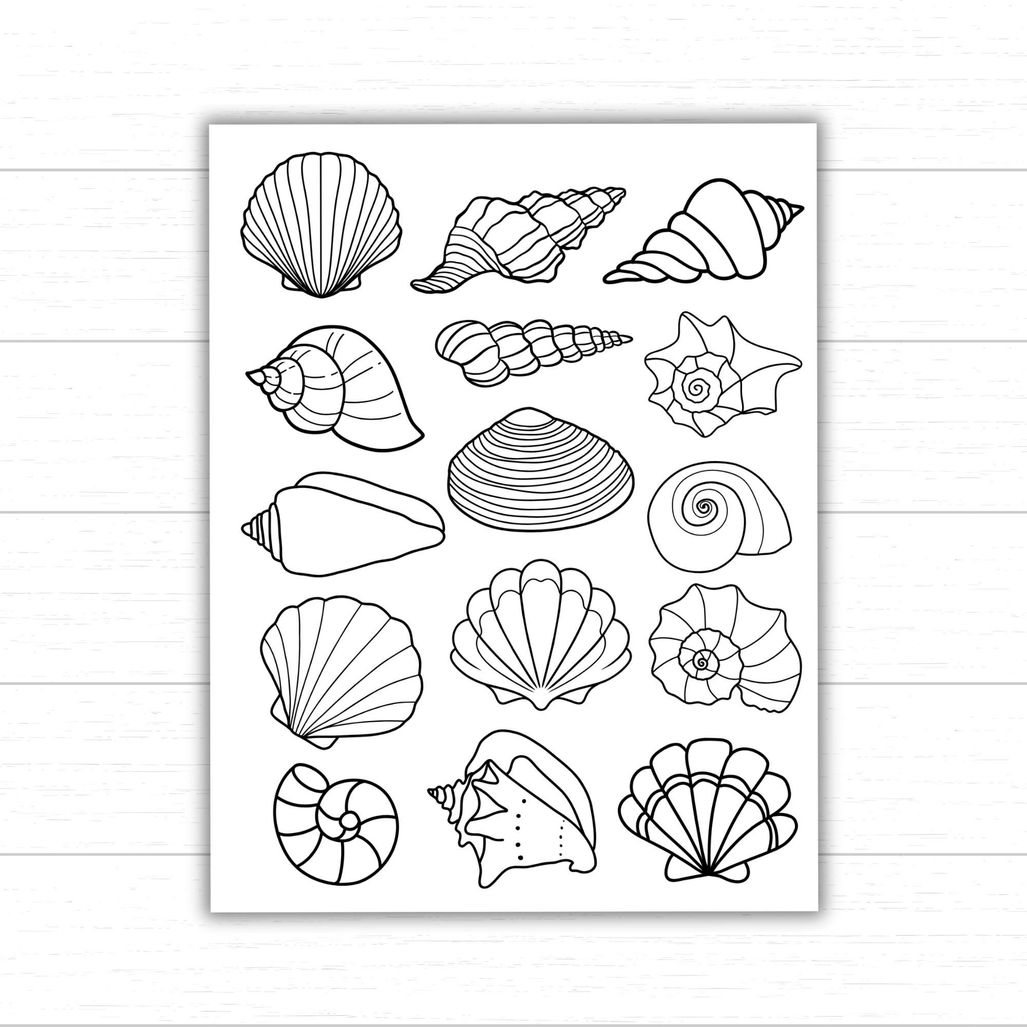 Printable Seashell Coloring Pages Seashell Templates For Crafts And Activities Beach Printables For Kids Ocean Themed Unit Shell Crafts Etsy