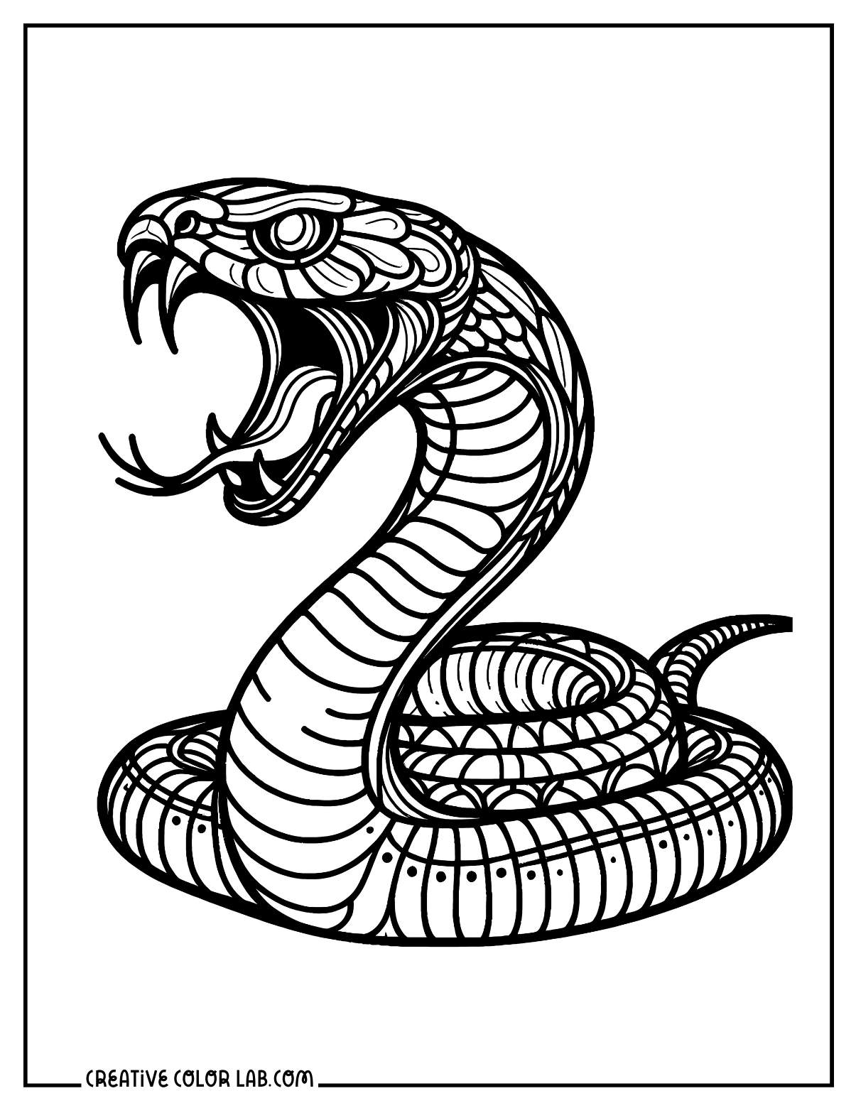 Printable Snake Coloring Pages Free PDFs To Download