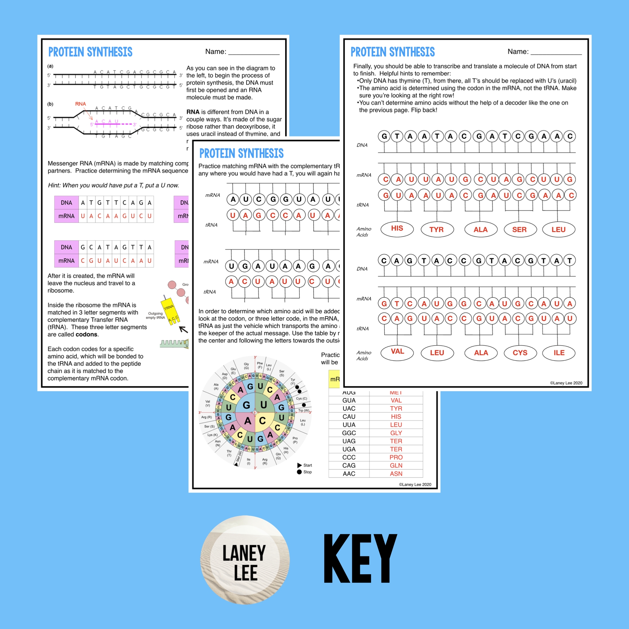 protein synthesis worksheet answer key