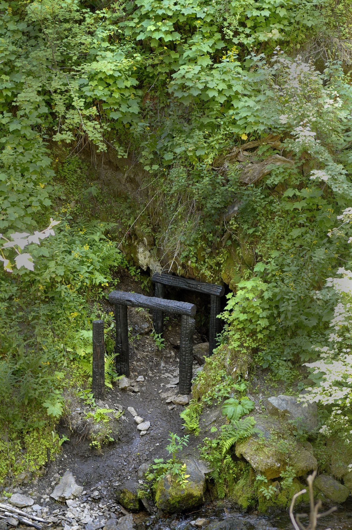 Pulaski s Heroism Resurfaced With Discovery Of Tunnel