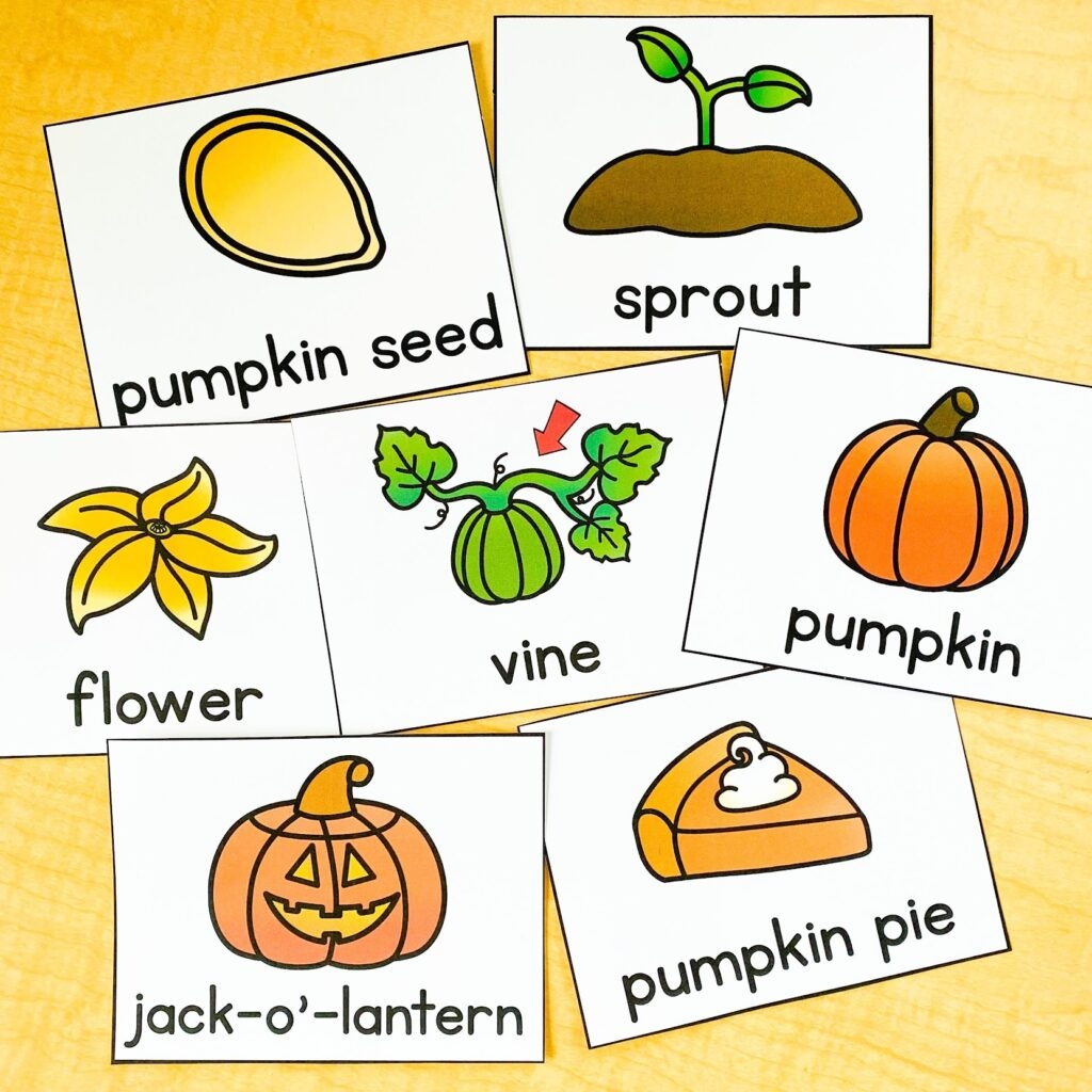 Pumpkin Life Cycle Activities For Kindergarten Katie Roltgen Teaching