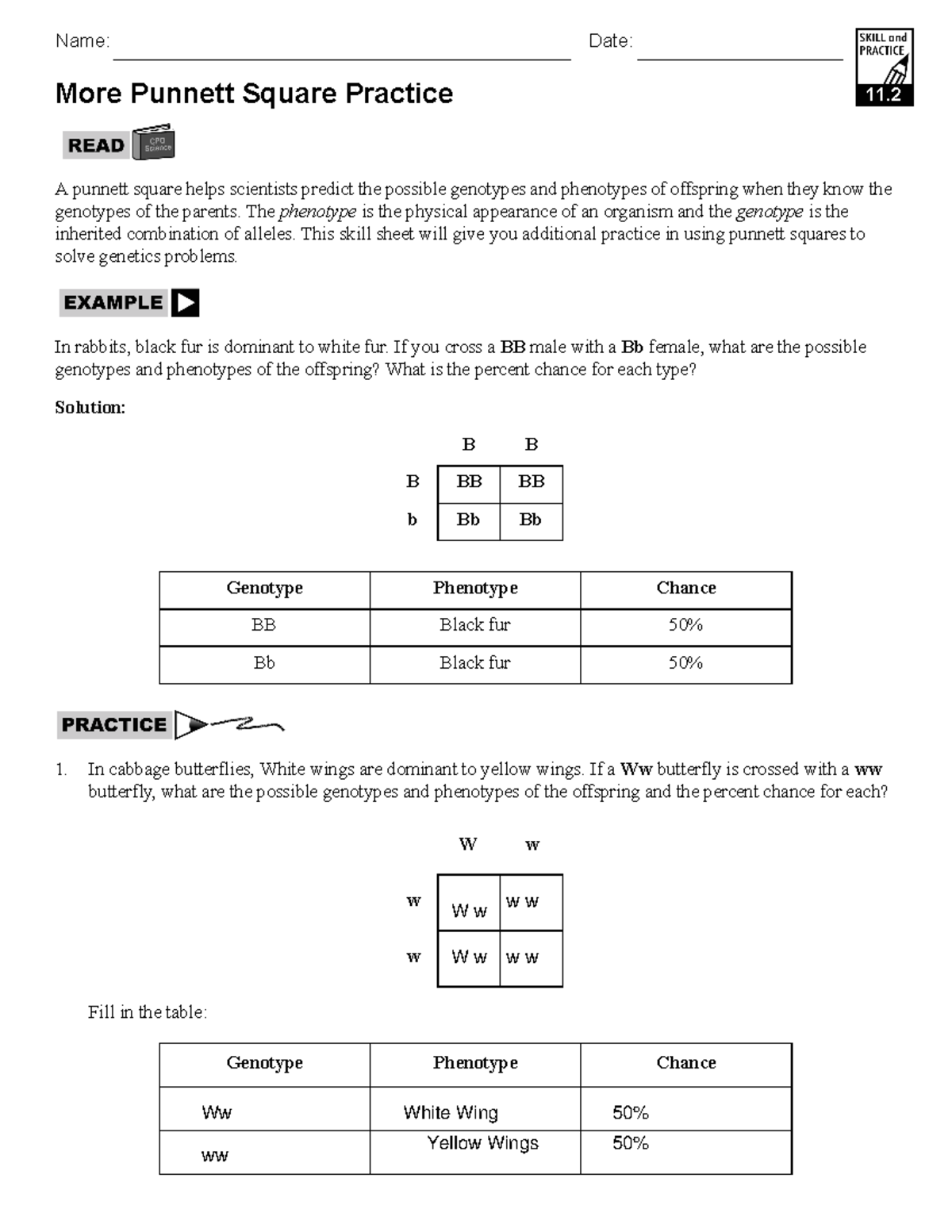 Punnett Square Practice Genetics Problem Set 2021 2022 Studocu Punnett Square Practice Genetics Problem Set 2021 2022 Studocu