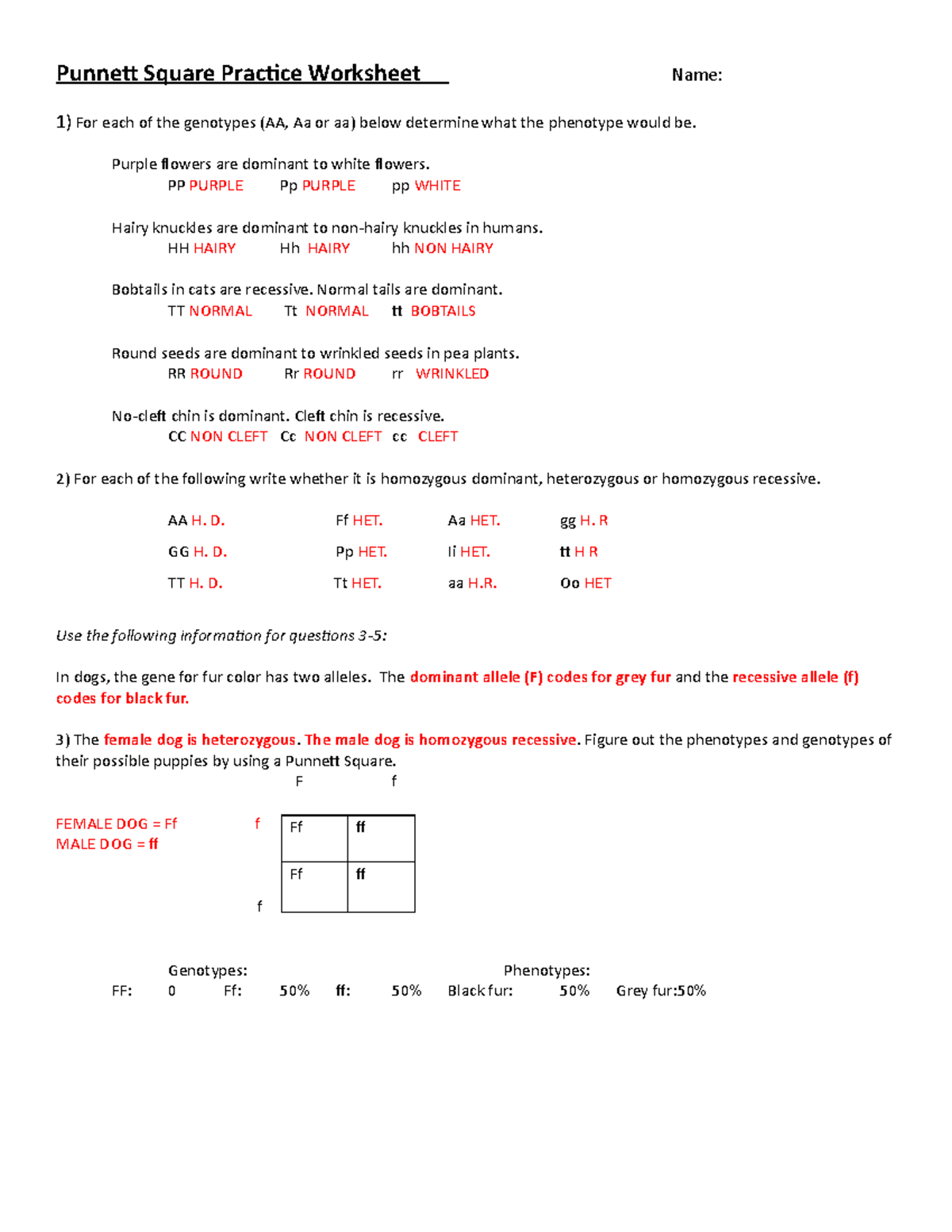 punnett square worksheet practice