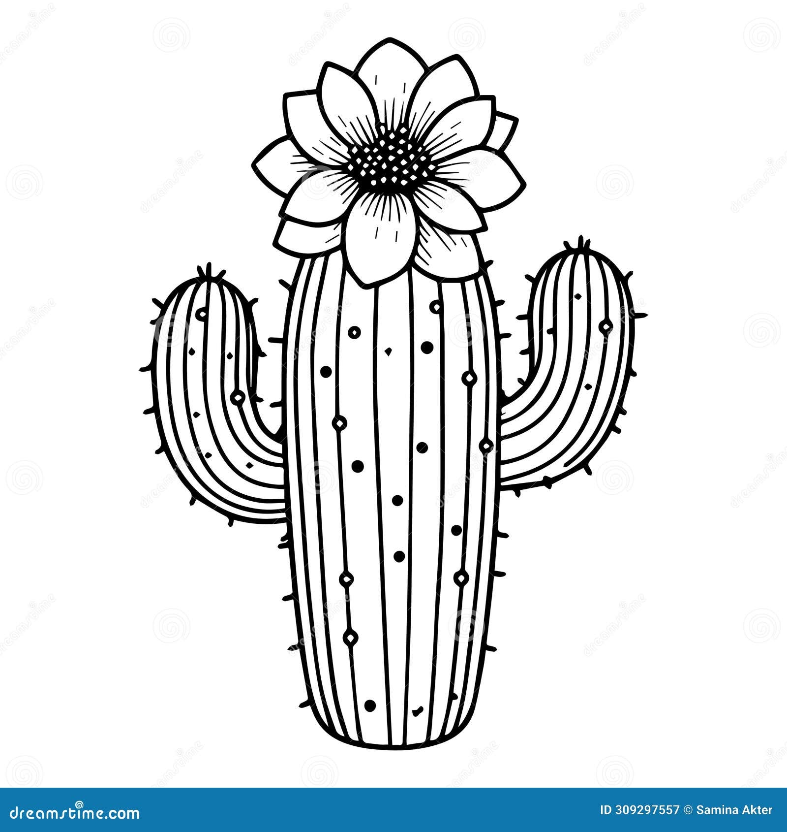 Realistic Cactus Coloring Page Flower And Cactus Line Drawings Free Prrintable Cactus Coloring Pages Stock Vector Illustration Of Decoration Leaf 309297557