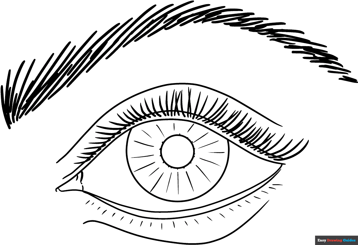 Realistic Eye For Beginners Coloring Page Easy Drawing Guides