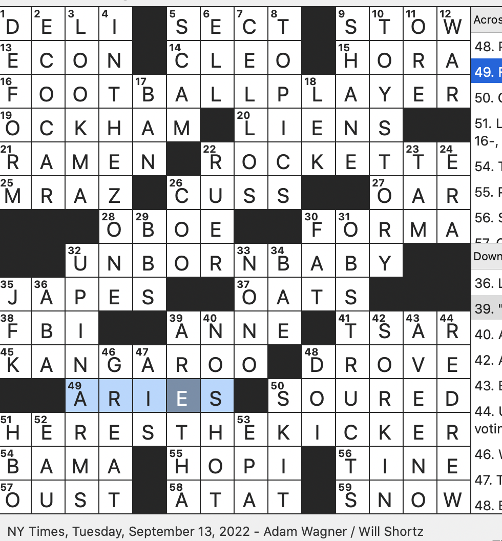 voting districts nyt crossword clue