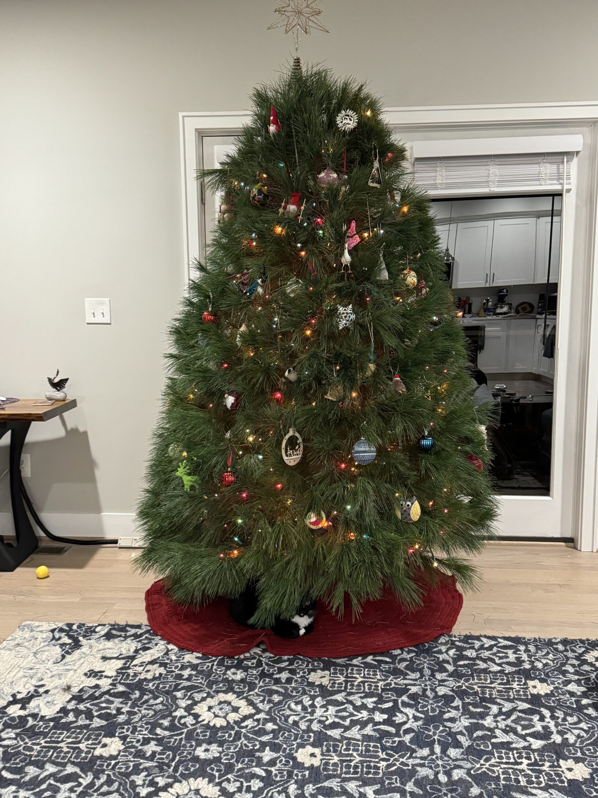 Rex Parker Does The NYT Crossword Puzzle Stiff Bristle Botanically WED 12 20 23 Fabric Whose Name Is French For cloth Gooey Addition To A Charcuterie Board Swiss Mathematician Who Introduced Functional Notation