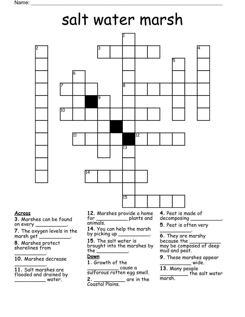 Salt Water Marsh Crossword WordMint
