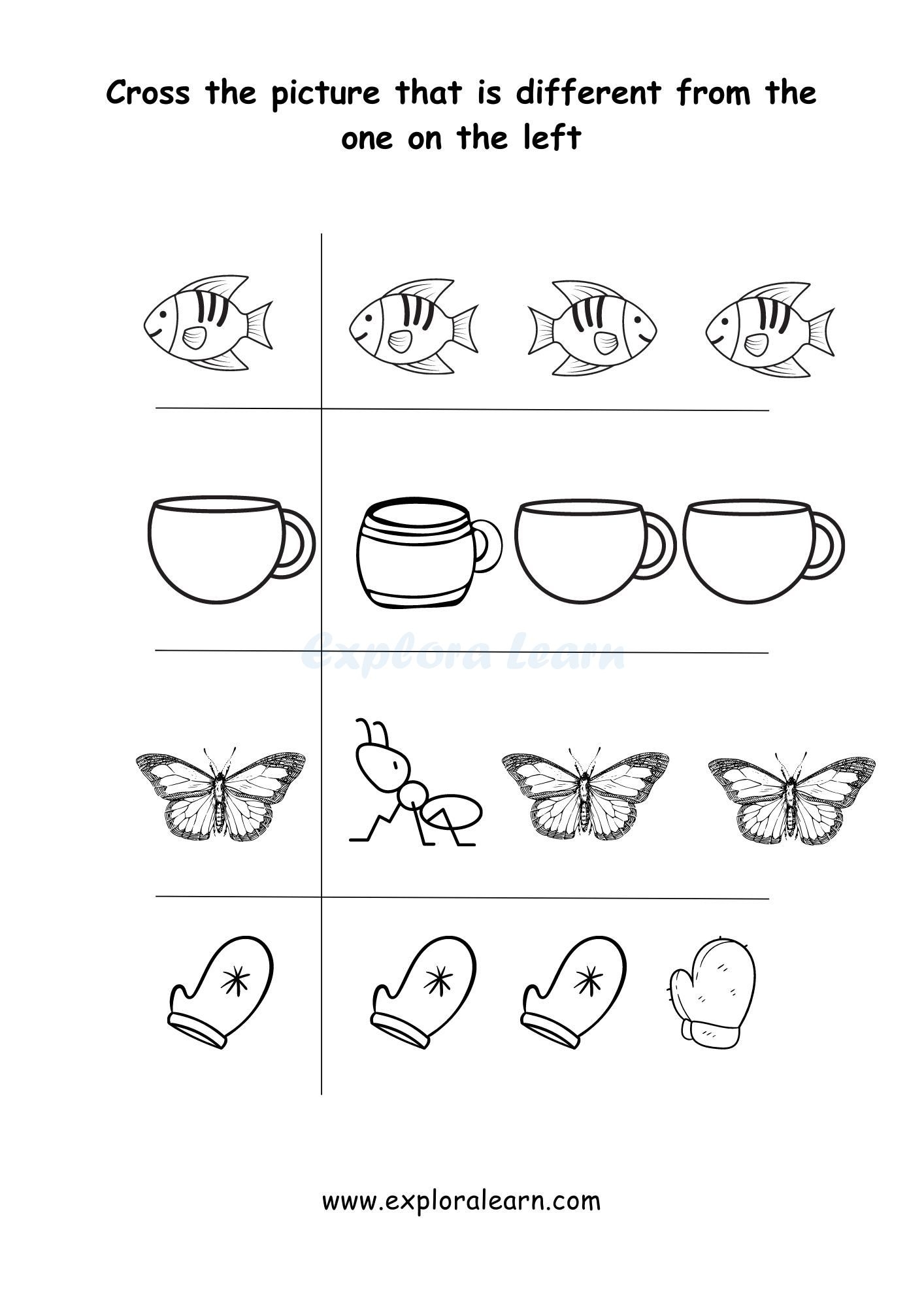 same and different worksheets same and different worksheets