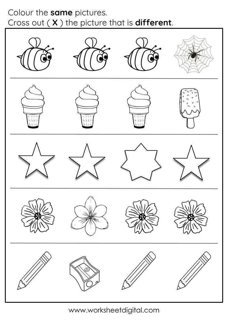 Same And Different Worksheet 3 Worksheet Digital 1 Teacher Made Resources Same And Different Worksheet 3 Worksheet Digital 1 Teacher Made Resources