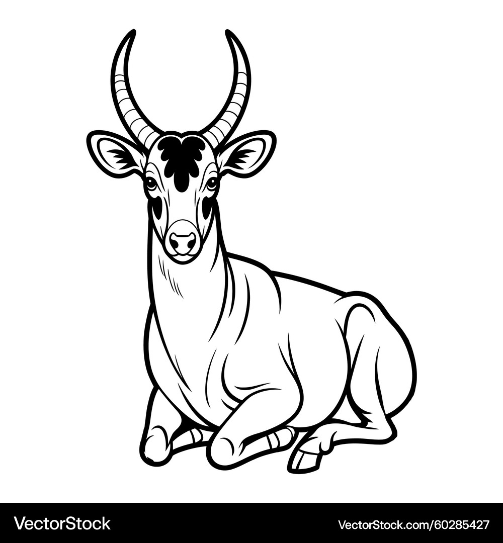 Saola Coloring Page Forest Animal Royalty Free Vector VectorStock Saola Coloring Page Forest Animal Royalty Free Vector VectorStock