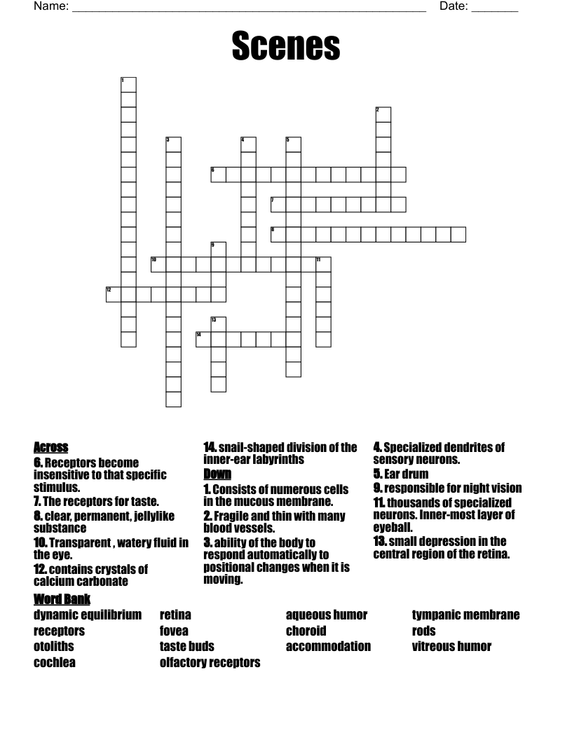 Scenes Crossword WordMint