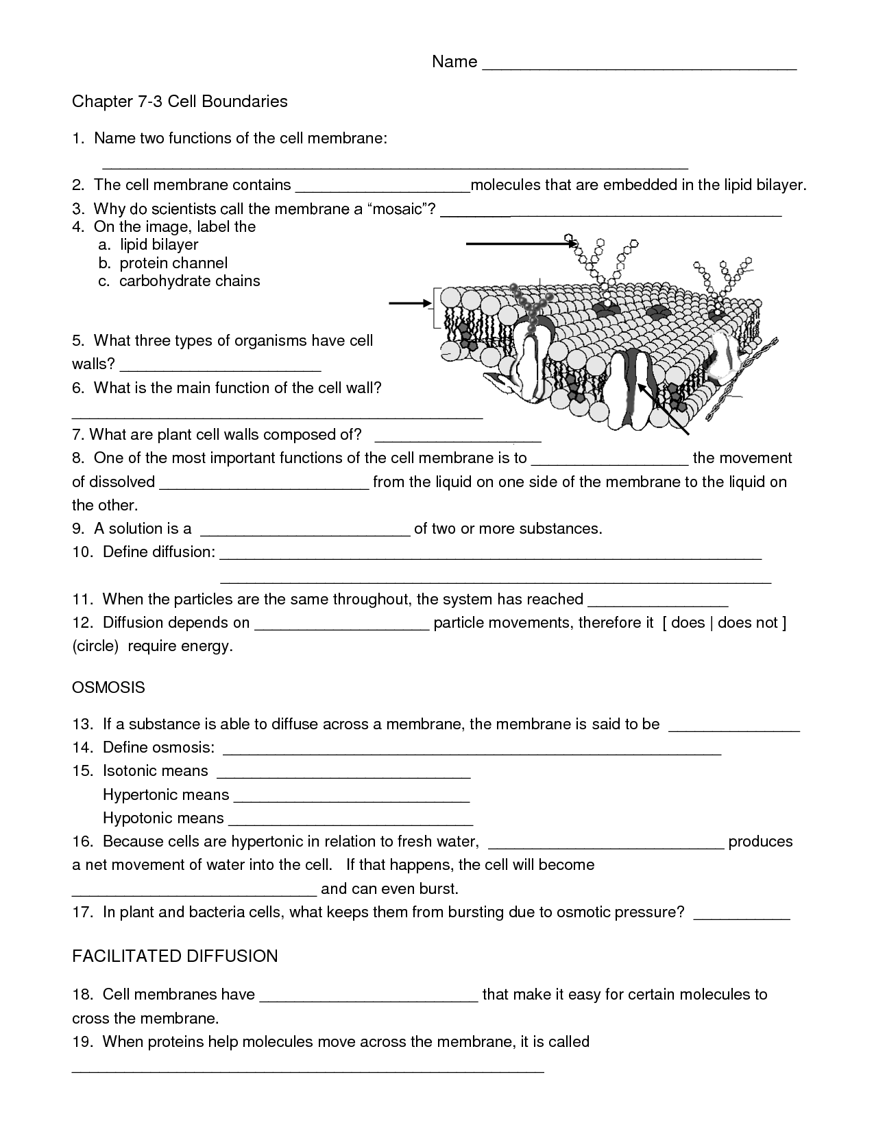 Science Grade 8 QED Worksheets Library