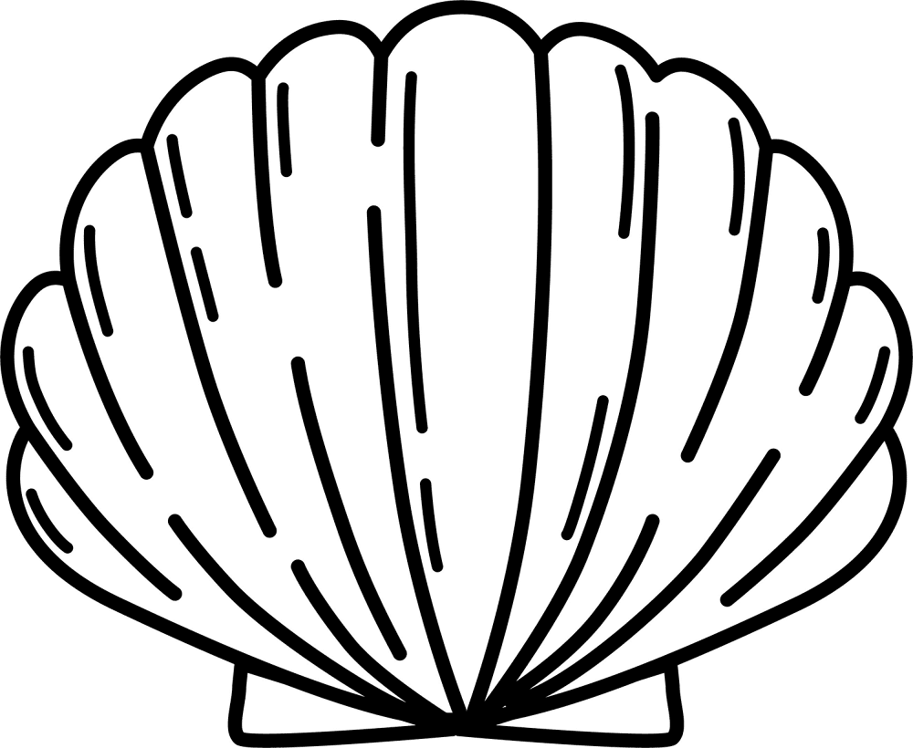 seashell coloring page seashell coloring page