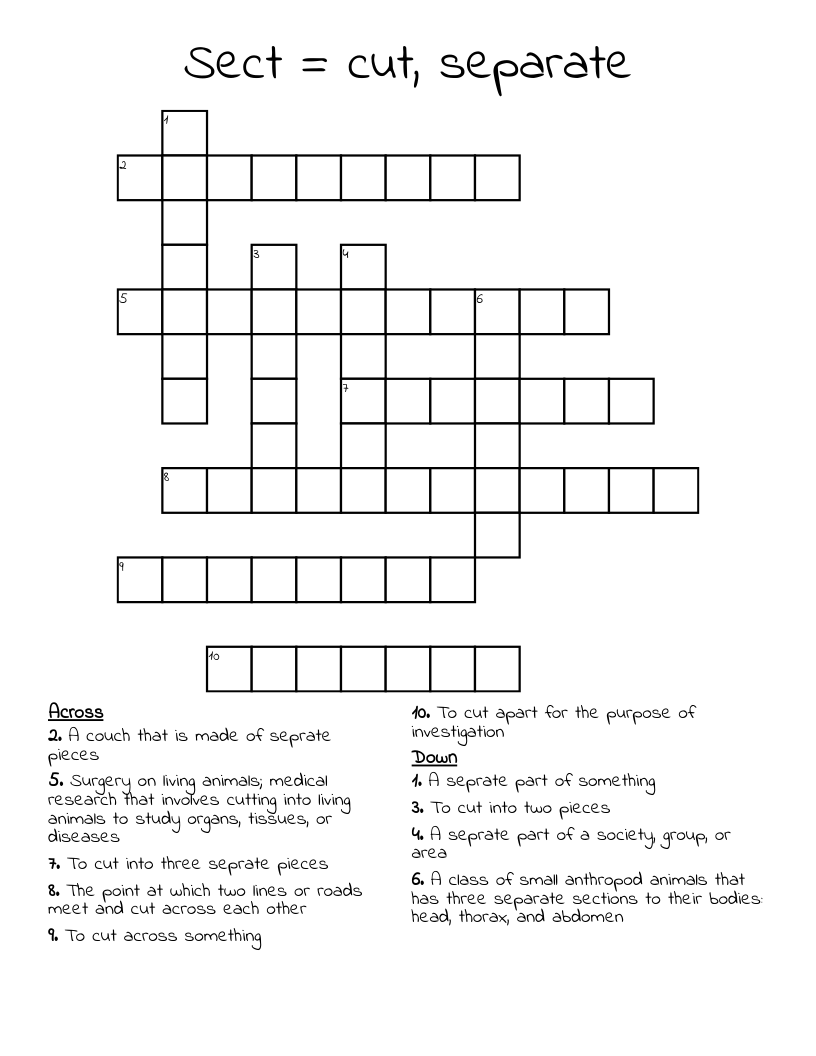 Sect Cut Separate Crossword WordMint