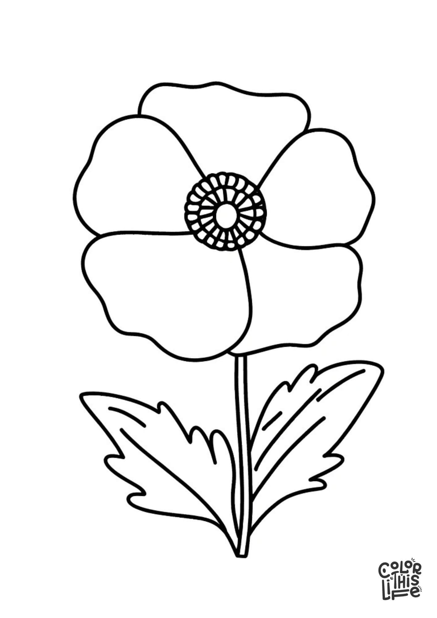 Simple Poppy Coloring Sheet For Kids Color This Life