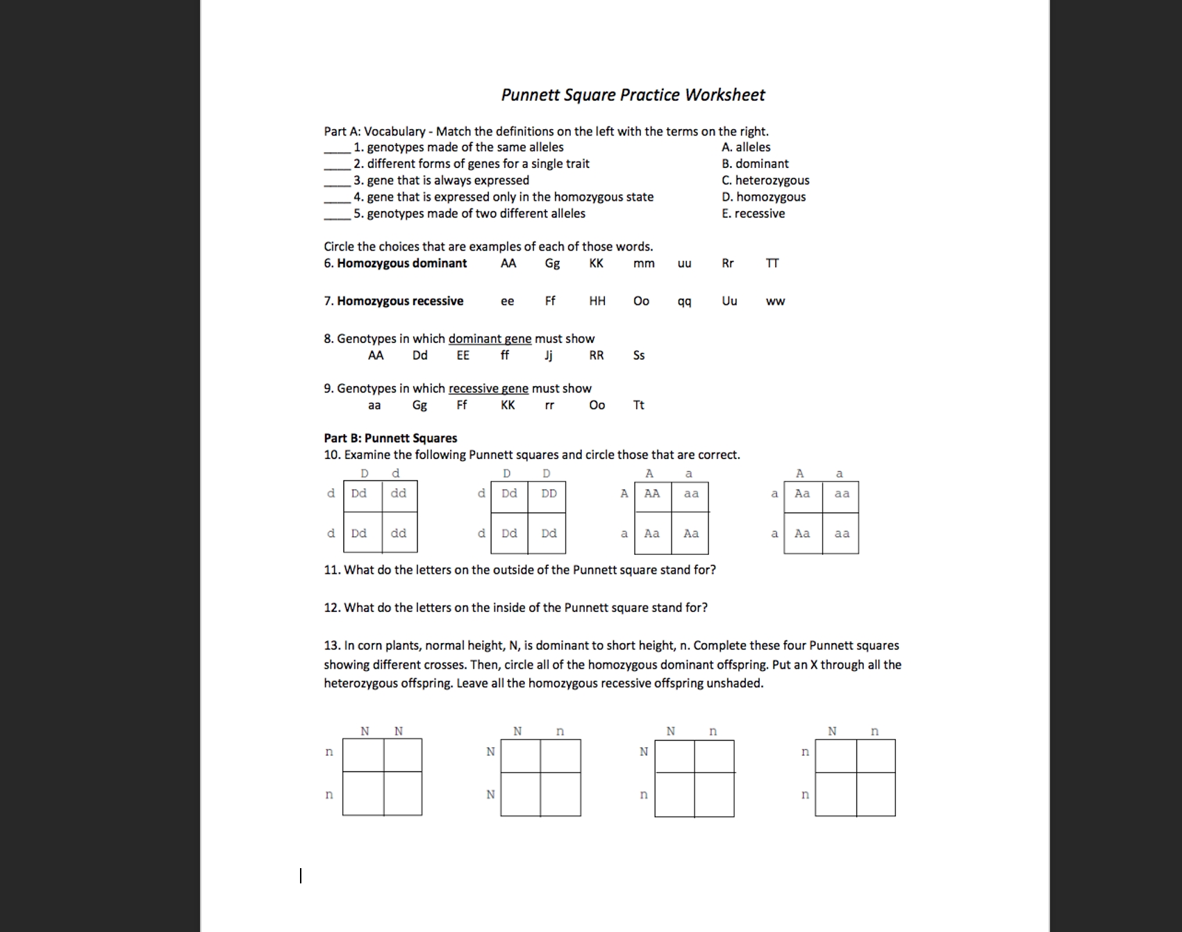 punnett square practice worksheet answer key