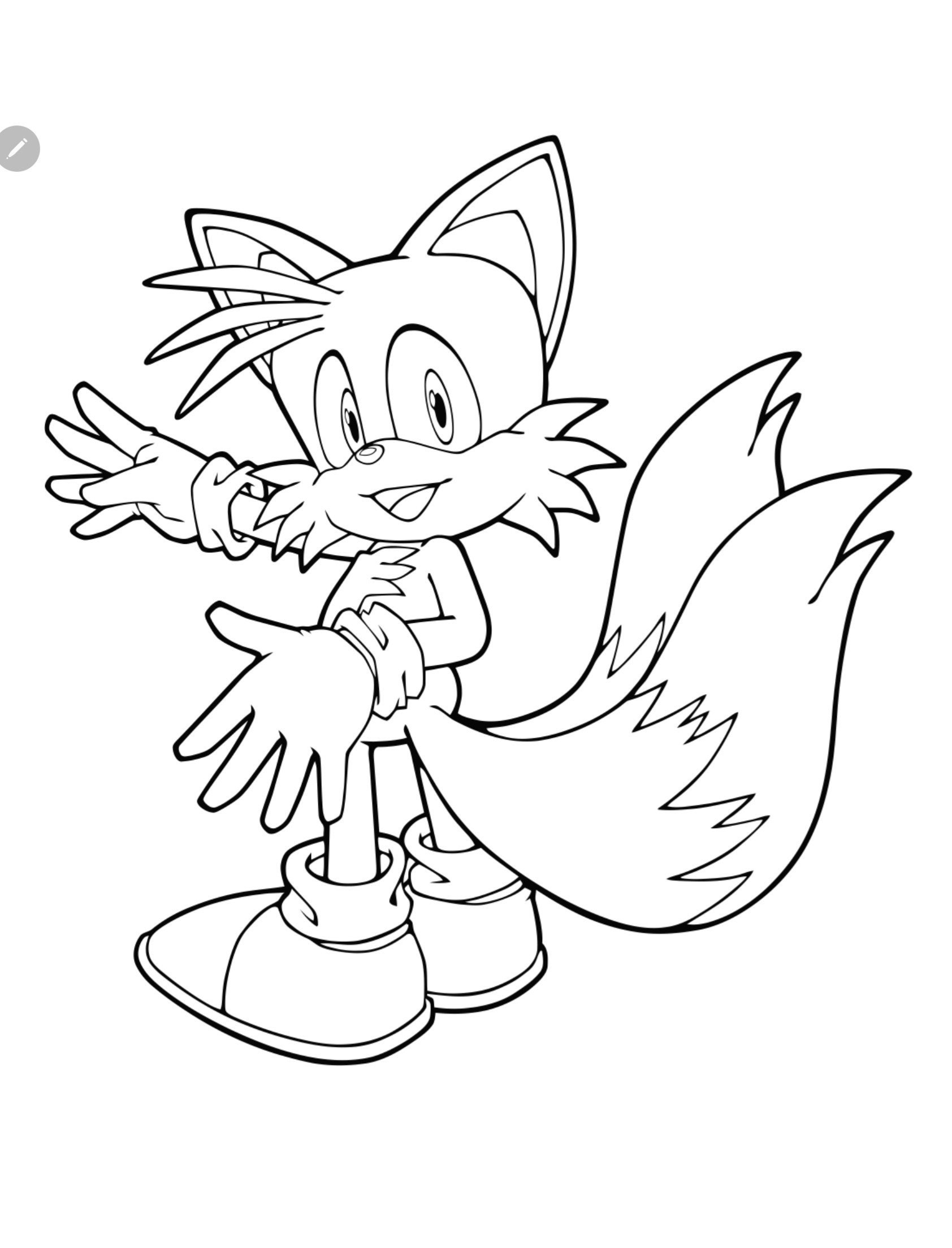 Sonic Coloring Pages 104 Pictures digital Download Etsy