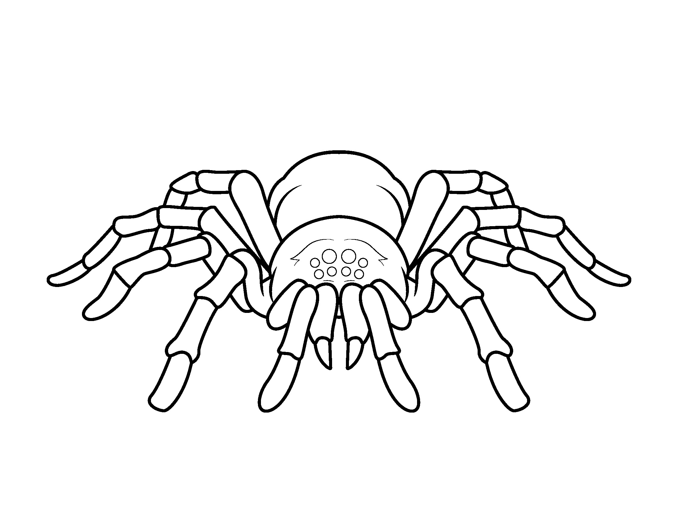 Spider Coloring Pages Gift Of Curiosity