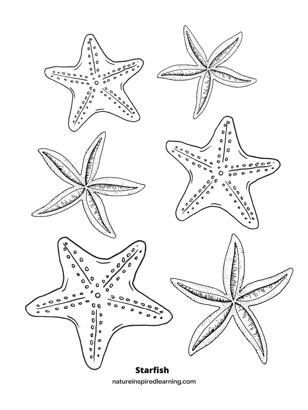 Starfish Coloring Pages Nature Inspired Learning Starfish Coloring Pages Nature Inspired Learning