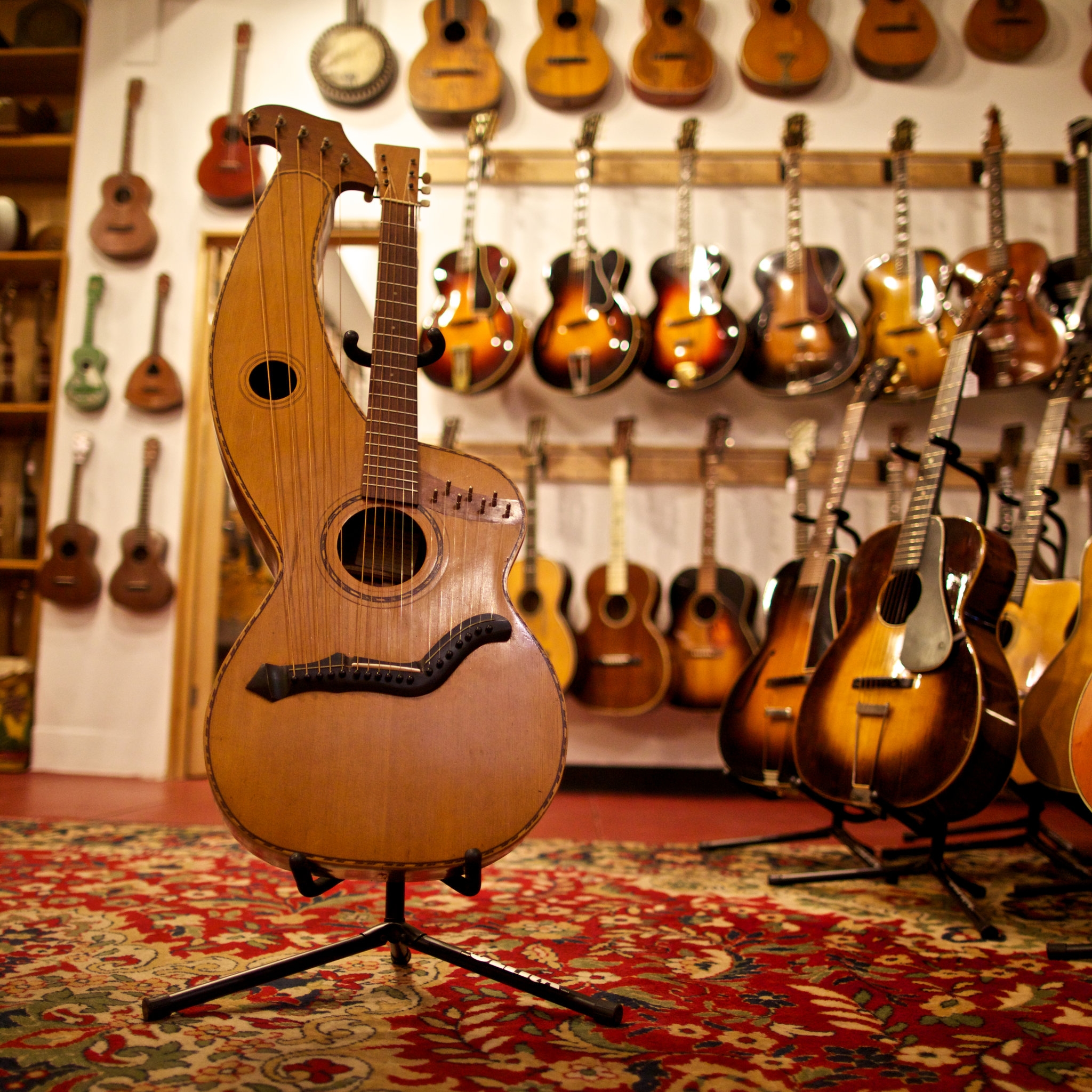 Stringed Instrument Crossword Amynpamzafinub1981 s Ownd