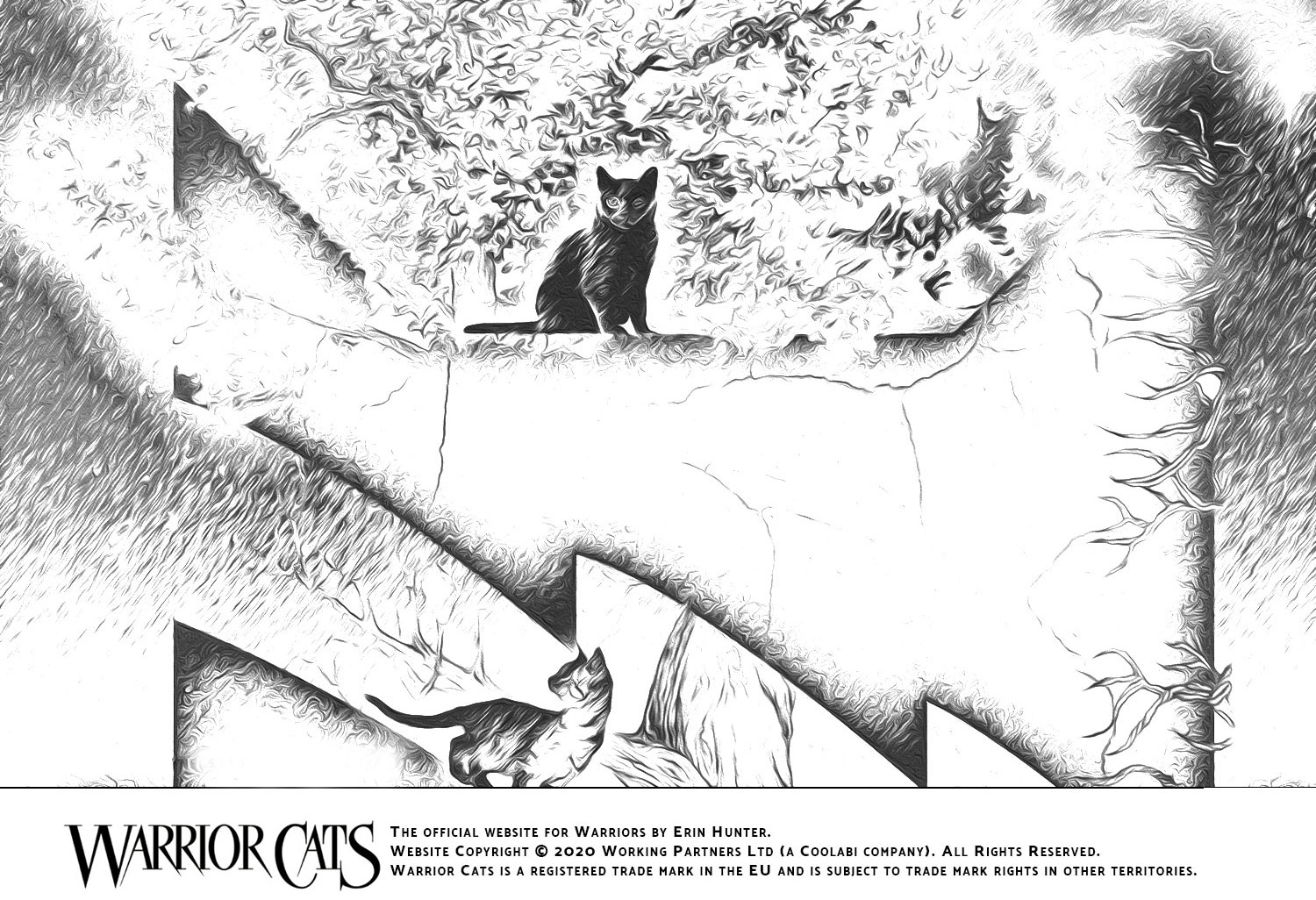 Stuck At Home Entertain Yourselves With Warrior Cats Activity Sheets Warrior Cats Stuck At Home Entertain Yourselves With Warrior Cats Activity Sheets Warrior Cats
