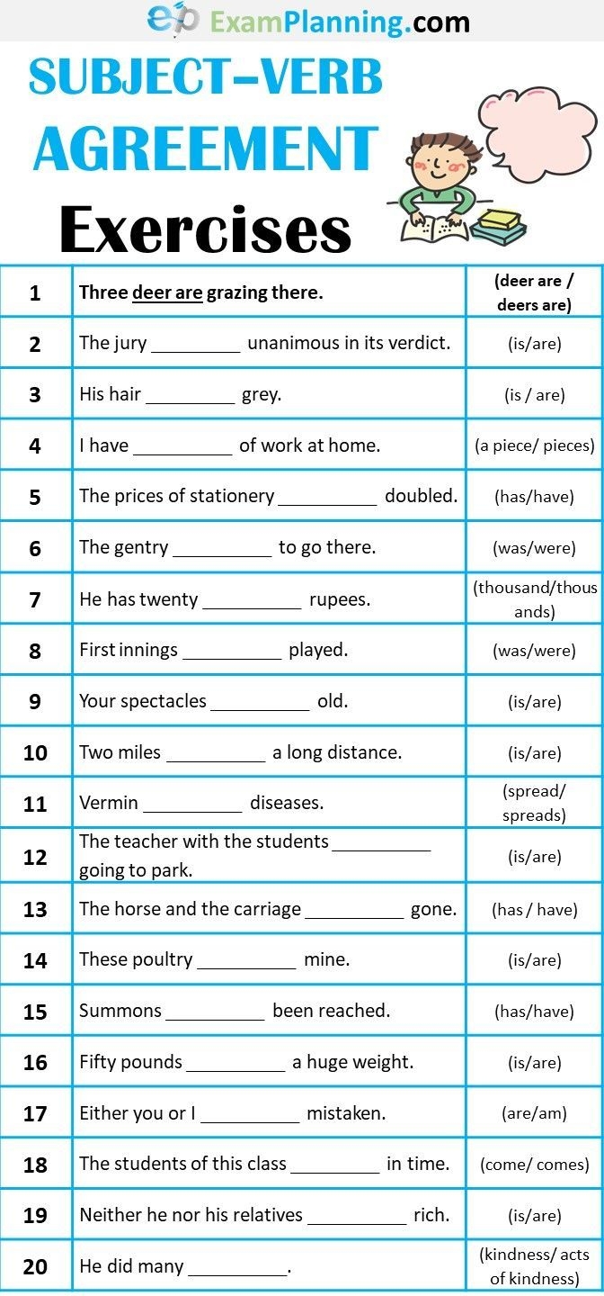 subject verb agreement worksheet