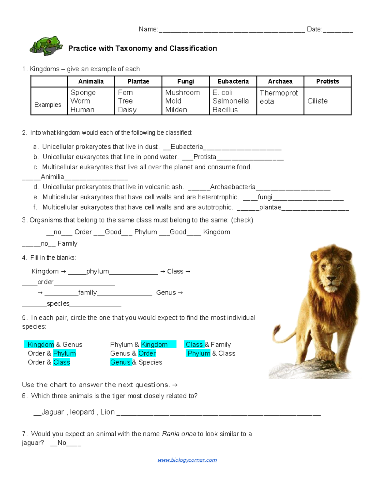 classification and kingdoms worksheet