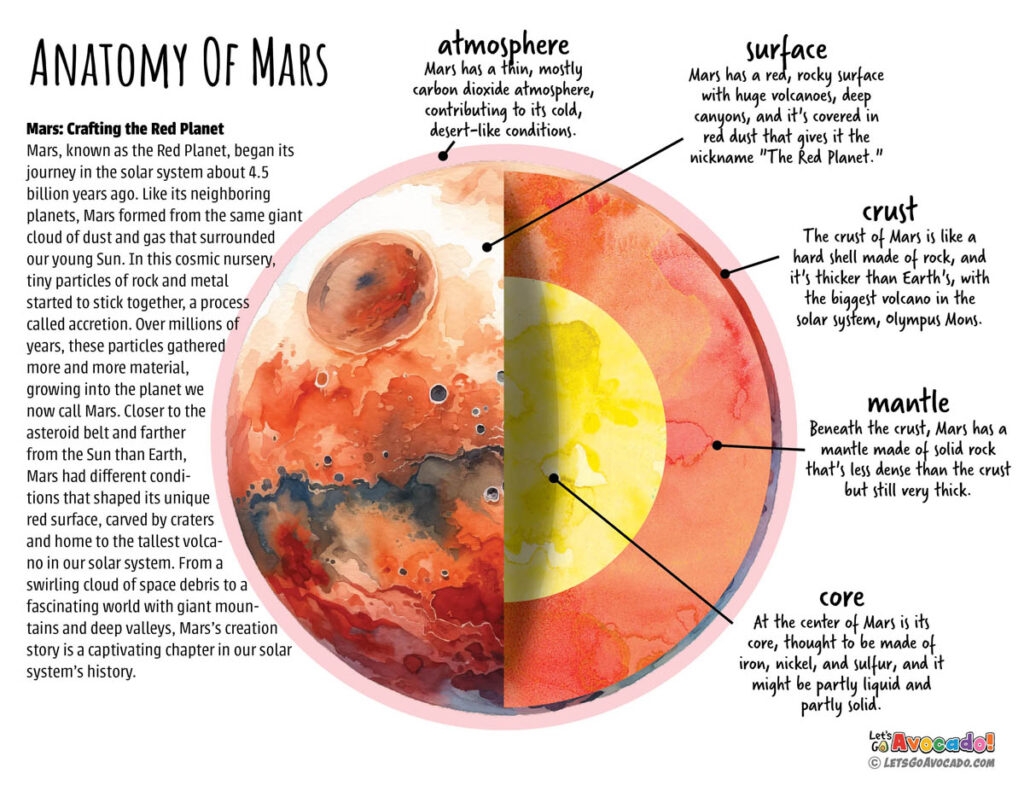 The Red Planet Get The Facts About Mars Let s Go Avocado 