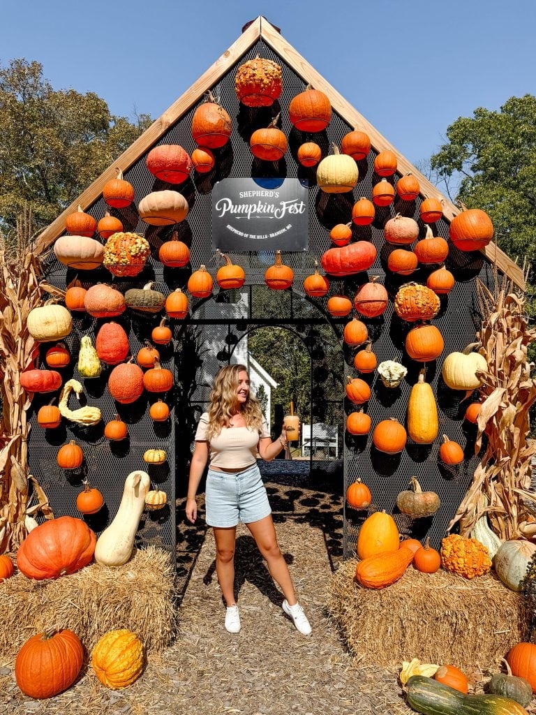 Things To Do In Branson In The Fall Ozark Activities Brown Eyed Flower Child