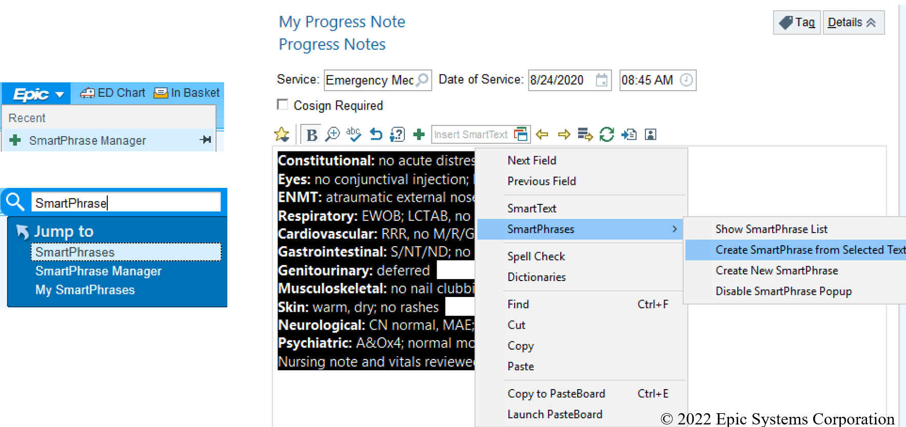 Things You Can Do On Your Own Epic ACEP