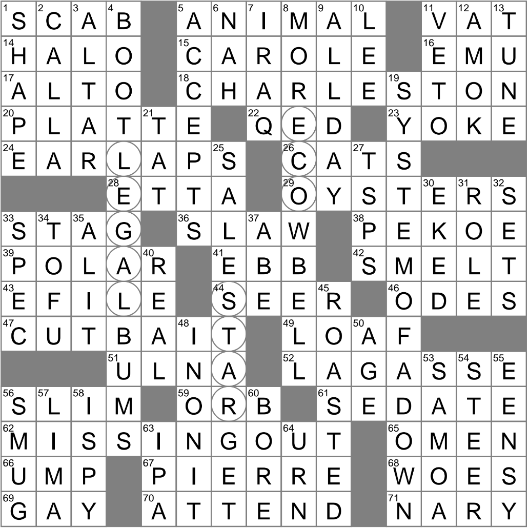 small plates of fish crossword clue