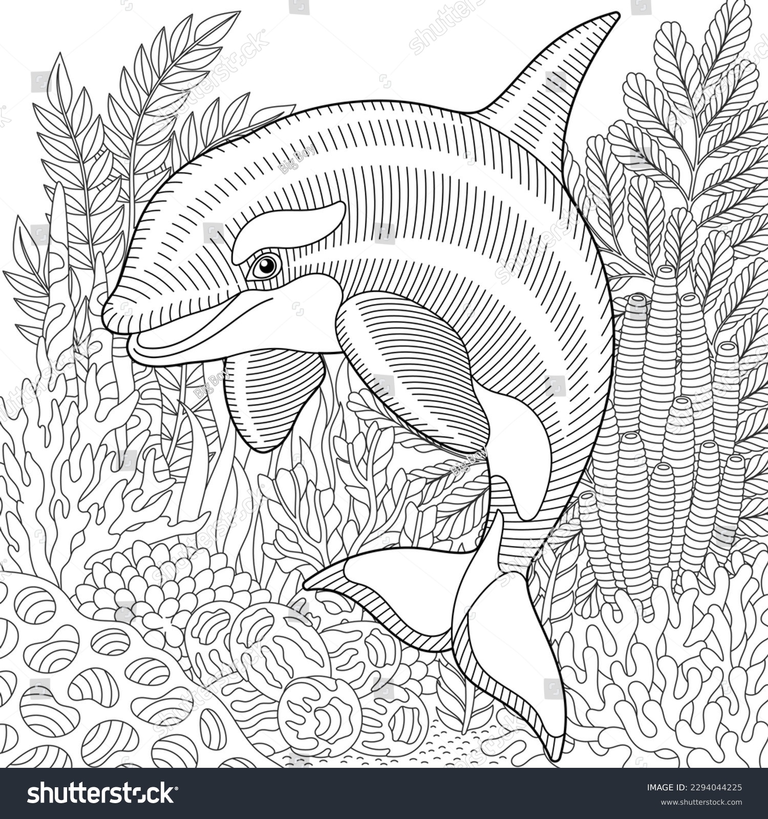 dolphin coloring book pages
