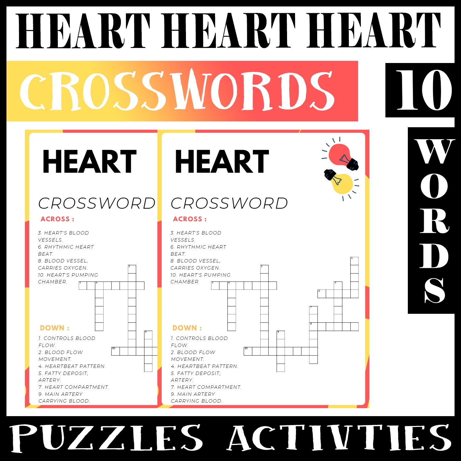heart chambers crossword
