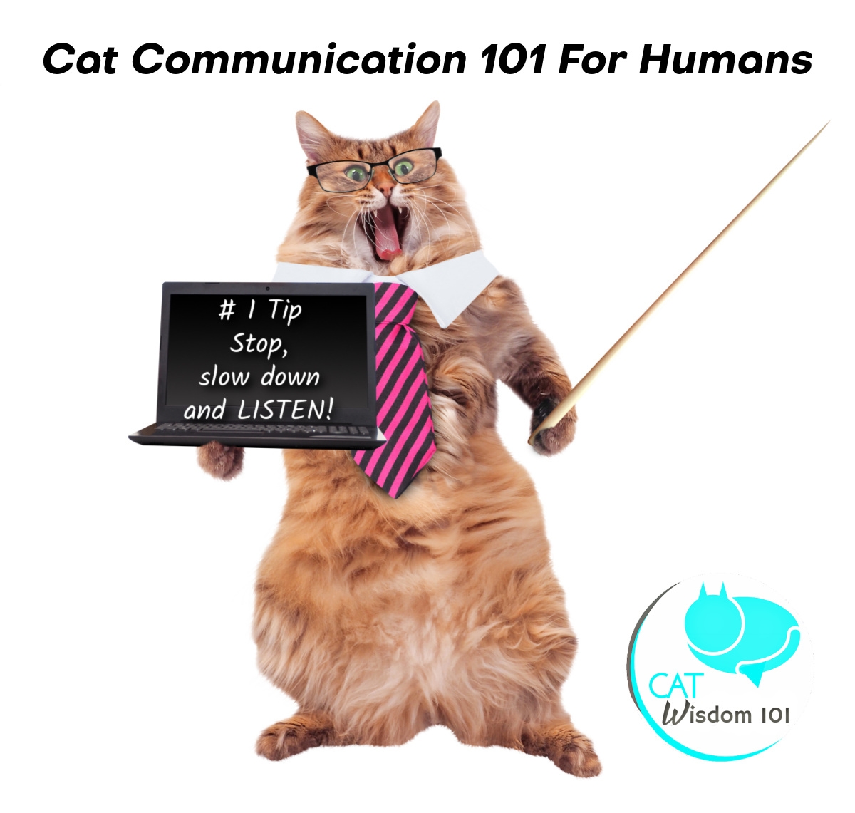 do cats listen to commands